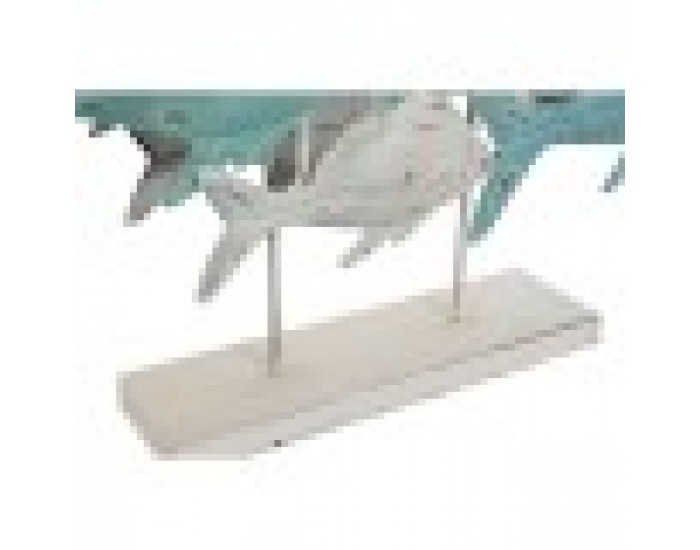 Декоративна фигурка Home ESPRIT Средиземноморско Риби 60 x 15 x 53 cm