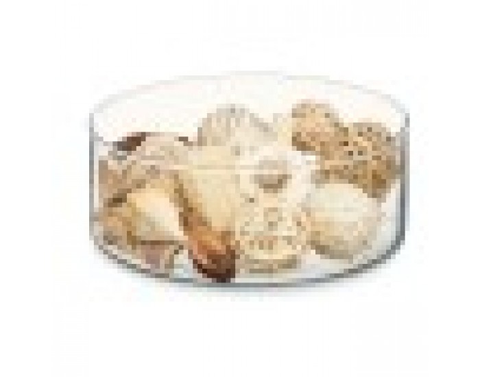 Decorative Potpourri Бял Кафяв 16 x 21 x 7 cm (12 броя)