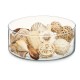 Decorative Potpourri Бял Кафяв 16 x 21 x 7 cm (12 броя)