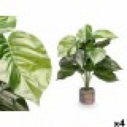 Декоративно Растение Ibergarden 12 Пластмаса Магнезиев 42 x 42 x 78 cm (4 броя) - Ibergarden