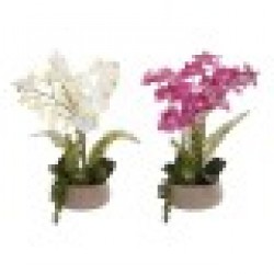 Декоративно Растение Home ESPRIT полиетилен Папиемаше 40 X 35 X 52 cm (2 броя) - Home esprit