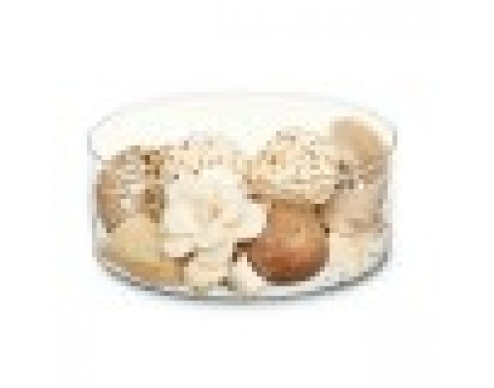 Decorative Potpourri 14 x 14 x 14 cm (12 броя)