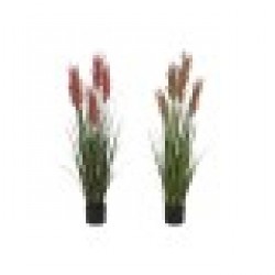 Декоративно Растение Home ESPRIT PVC полиетилен 35 x 35 x 120 cm (2 броя) - Home esprit