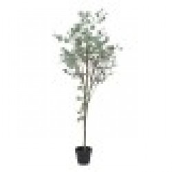 Декоративно Растение полиетилен Евкалипт 80 x 82 x 180 cm - Rosanto home