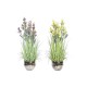 Декоративно Растение DKD Home Decor Порцелан Жълт Светло розово PE (2 броя) (20 x 20 x 66 cm)