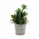 Декоративно Растение Ibergarden XD18-1182A-B Пластмаса Цимент 15 x 24 x 15 cm (12 броя)