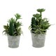 Декоративно Растение Ibergarden XD18-1182A-B Пластмаса Цимент 15 x 24 x 15 cm (12 броя)