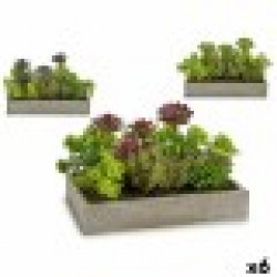 Декоративно Растение Сочен Пластмаса Цимент 16,5 x 20 x 28,5 cm (6 броя) - Ibergarden