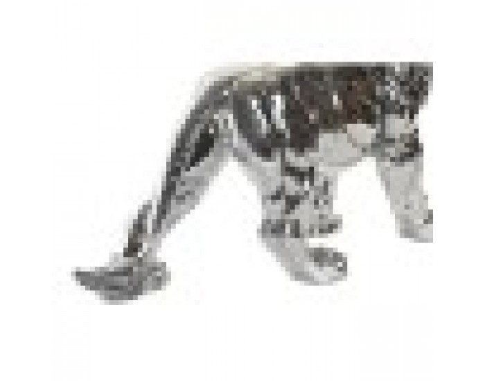 Декоративна фигурка DKD Home Decor Лъв Смола Модерен (55,5 x 17,5 x 38,5 cm)