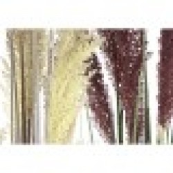 Декоративно Растение Home ESPRIT PVC полиетилен 45 x 45 x 150 cm (2 броя) - Home esprit