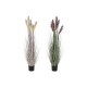 Декоративно Растение Home ESPRIT PVC полиетилен 45 x 45 x 150 cm (2 броя)