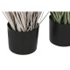 Декоративно Растение Home ESPRIT PVC полиетилен 45 x 45 x 150 cm (2 броя)