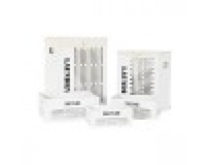 Комплект кошове DKD Home Decor Бял Черен Бежов Дървен MDF 40 x 30 x 56 cm (5 Части) (5 броя)