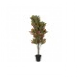 Декоративно Растение DKD Home Decor Кафяв Зелен PE (50 x 50 x 140 cm) - Dkd home decor