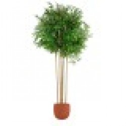 Дърво Home ESPRIT полиестер Бамбук 80 x 80 x 180 cm - Home esprit