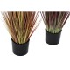 Декоративно Растение DKD Home Decor Оранжев Бургундия PVC PE (2 броя) (30 x 30 x 150 cm)
