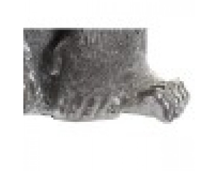 Декоративна фигурка DKD Home Decor Сребрист Смола Горила (46 x 40 x 61 cm)
