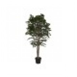 Дърво Home ESPRIT полиетилен Фикус 100 x 100 x 210 cm - Home esprit