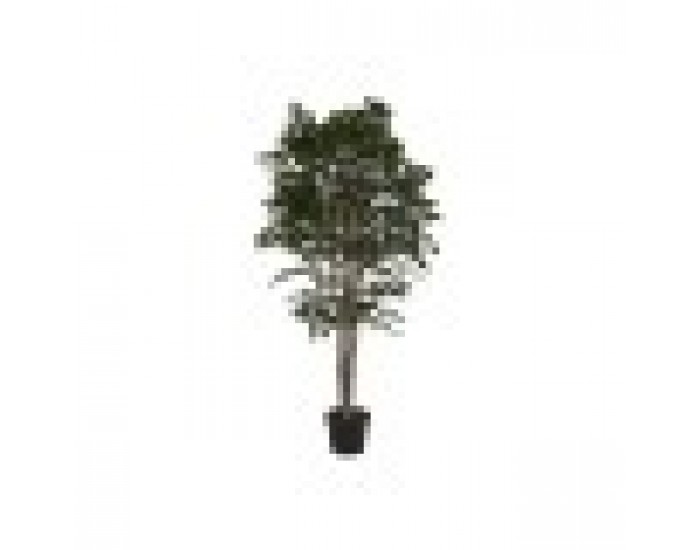 Дърво Home ESPRIT полиетилен Фикус 100 x 100 x 210 cm