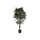 Дърво Home ESPRIT полиетилен Фикус 100 x 100 x 210 cm