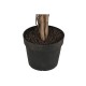 Дърво Home ESPRIT полиетилен Фикус 100 x 100 x 210 cm