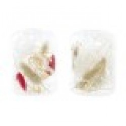 Поставка за свещ DKD Home Decor Сухо цвете 8 x 8 x 11 cm Кристал Бежов Кестен (2 броя) - Decorațiuni