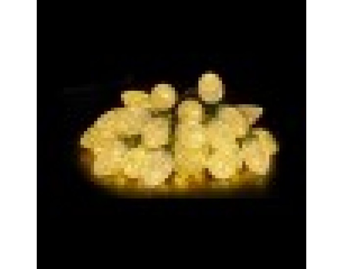 Гирлянда от LED Светлини Жълт 500 x 5 x 2 cm (12 броя)