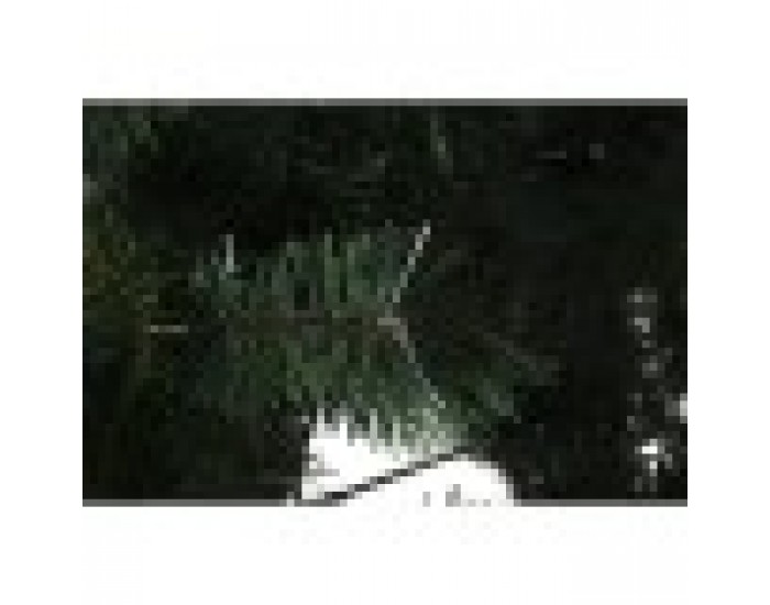 Коледно дърво Home ESPRIT Зелен PVC Метал 132 x 132 x 210 cm
