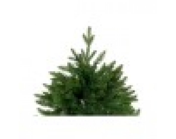 Коледно дърво DKD Home Decor Зелен полиетилен 120 x 120 x 180 cm