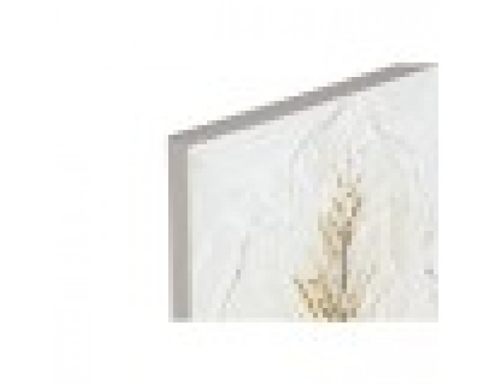 Картина Home ESPRIT Бял Златен Пластно Дървен MDF Лист на растение романтичен 30 x 2,5 x 60 cm (2 броя)