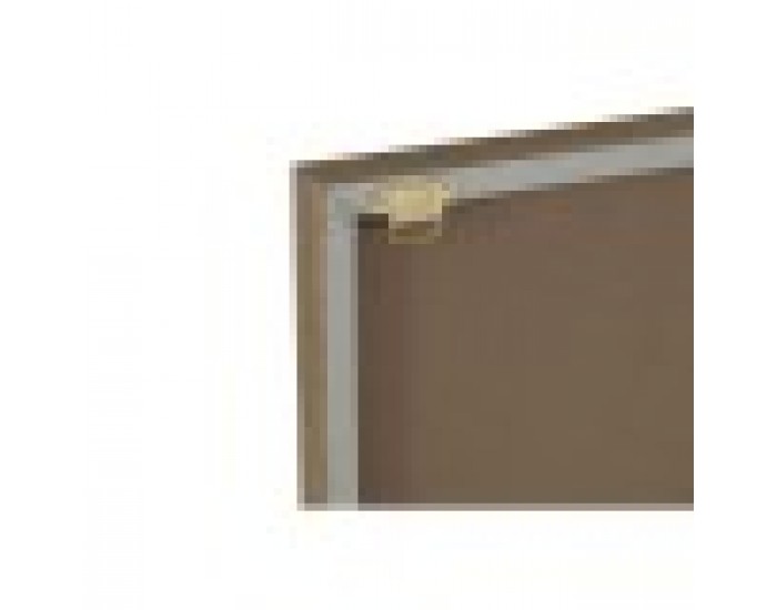Картина Home ESPRIT Червен Зелен Колониален Златен Джунгла 45 x 2,5 x 60 cm (2 броя)