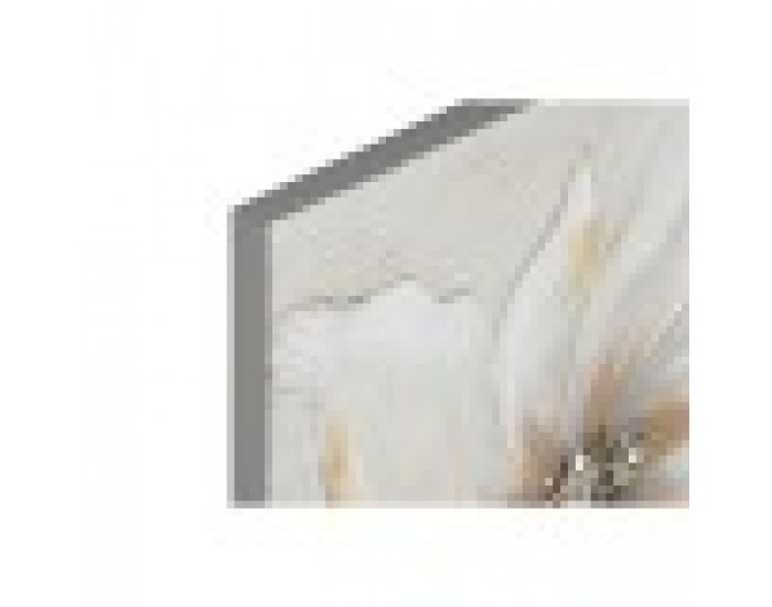 Картина Home ESPRIT Бял Бежов Пластно Дървен MDF Цвете романтичен 50 x 2,5 x 50 cm (2 броя)