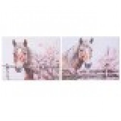 Картина Home ESPRIT Бежов Розов Пластно Дървен MDF Кон Shabby Chic 80 x 2,5 x 60 cm (2 броя) - Tablouri, postere, puzzle-uri