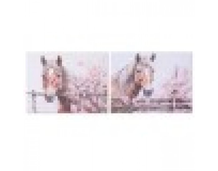 Картина Home ESPRIT Бежов Розов Пластно Дървен MDF Кон Shabby Chic 80 x 2,5 x 60 cm (2 броя)