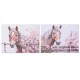 Картина Home ESPRIT Бежов Розов Пластно Дървен MDF Кон Shabby Chic 80 x 2,5 x 60 cm (2 броя)