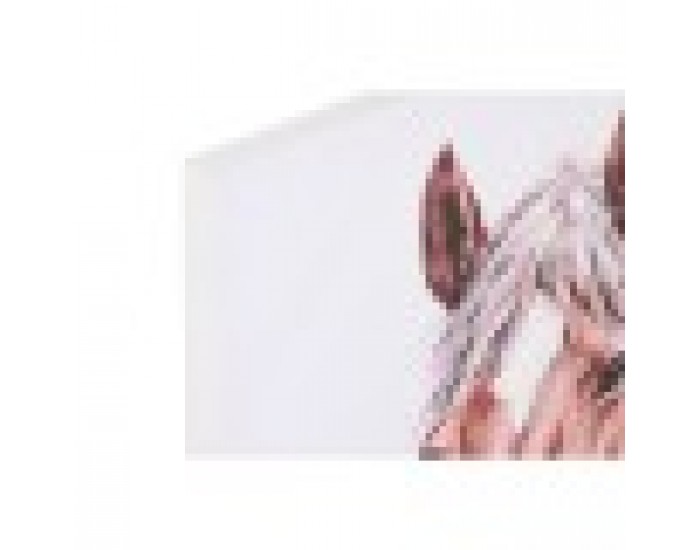 Картина Home ESPRIT Бежов Розов Пластно Дървен MDF Кон Shabby Chic 80 x 2,5 x 60 cm (2 броя)