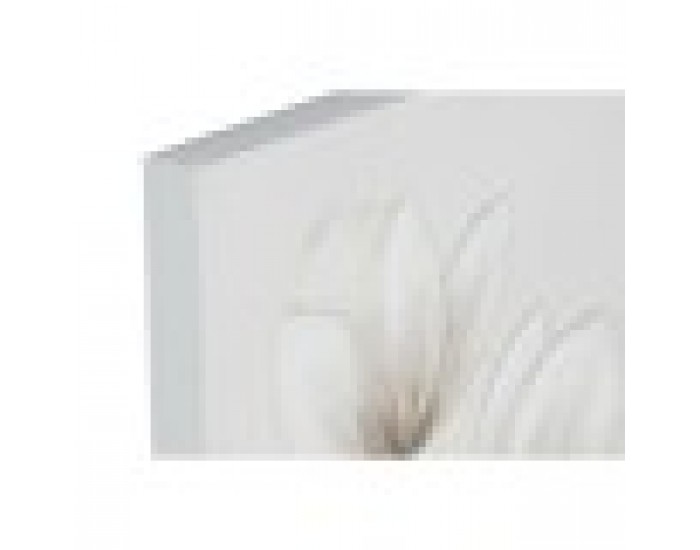 Картина Home ESPRIT Ваза Традиционен 40 x 3 x 120 cm (2 броя)