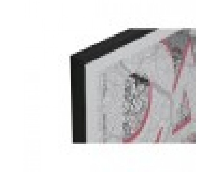 Картина Home ESPRIT Бял Черен Loft 60 x 3 x 80 cm (2 броя)