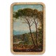 Пластно Дърво 2 x 60 x 40 cm (6 броя)