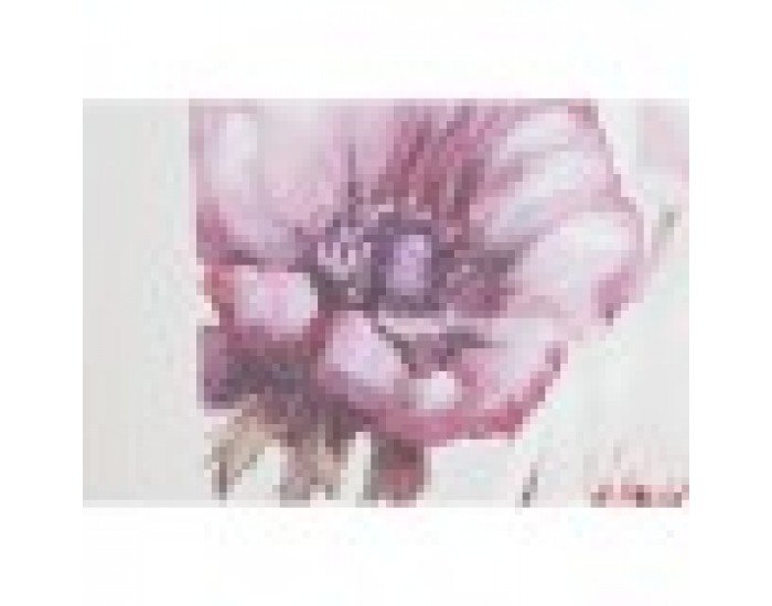 Картина DKD Home Decor рози (2 броя) (70 x 3 x 70 cm)