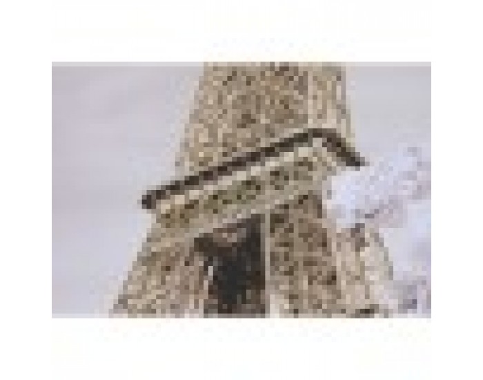 Картина Home ESPRIT Бял Черен Златен Париж Loft 60 x 2,5 x 80 cm (2 броя)