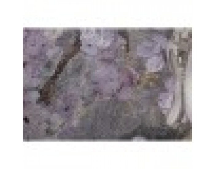 Картина Home ESPRIT Буда Ориенталски 60 x 2,7 x 80 cm (2 броя)