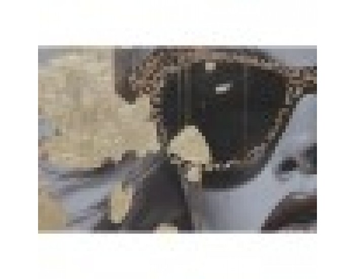 Картина Home ESPRIT Златен chica 70 x 3,5 x 70 cm (2 броя)