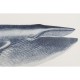 Картина Home ESPRIT Кит 70 x 2,5 x 35 cm (2 броя)