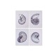 Картина Home ESPRIT Раковина 60 x 2,5 x 80 cm (4 броя)