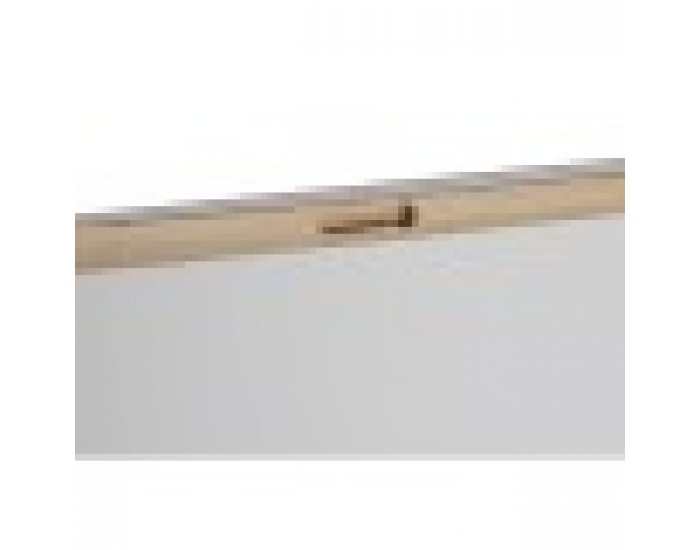Картина Home ESPRIT Раковина 60 x 2,5 x 80 cm (4 броя)