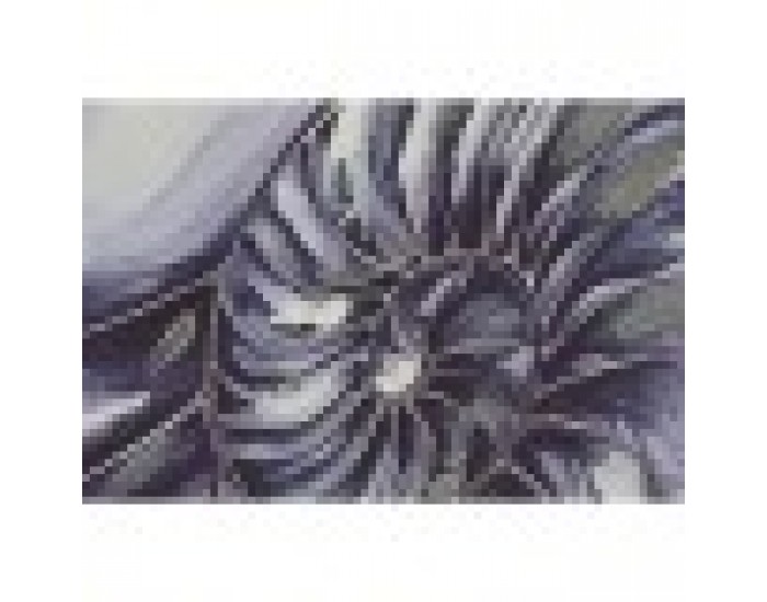 Картина Home ESPRIT Раковина 60 x 2,5 x 80 cm (4 броя)