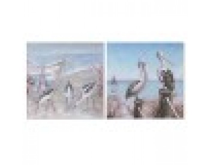 Картина Home ESPRIT Птици Средиземноморско 80 x 3 x 80 cm (2 броя)