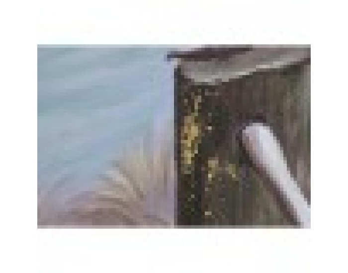 Картина Home ESPRIT Птици Средиземноморско 80 x 3 x 80 cm (2 броя)