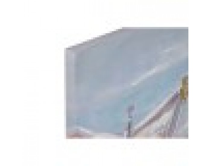 Картина Home ESPRIT Птици Средиземноморско 80 x 3 x 80 cm (2 броя)